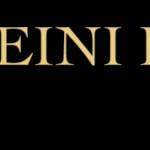 Hosseini Law Office PLLC Profile Picture