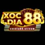 XOCDIA 88 Profile Picture