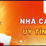 28Bet Agency Profile Picture