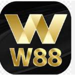 W88 canyontenerife Profile Picture
