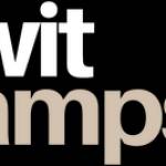 Wit lamps Profile Picture