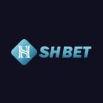 shbeteco Profile Picture
