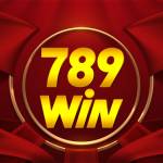 789WIN Profile Picture