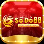 sodo88e com Profile Picture