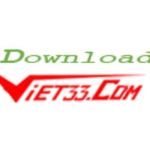 Download Viet33 Profile Picture