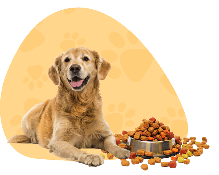 Pet Shop Online | Fish & Pet Supplies Online Ballarat, Australia