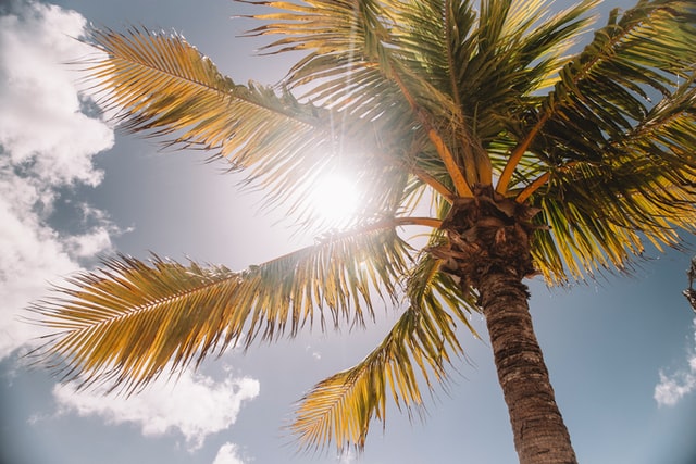 The best way to stay hydrated during heatwaves