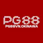 PG88 VN Okinawa Profile Picture
