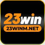 23winm Profile Picture