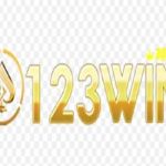 123win agency Profile Picture