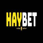 Nhà Cái HAYBET Profile Picture