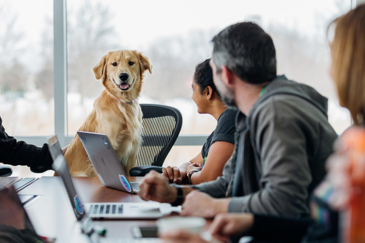 Case Study: How a Web Development Company Scaled a Local Brand