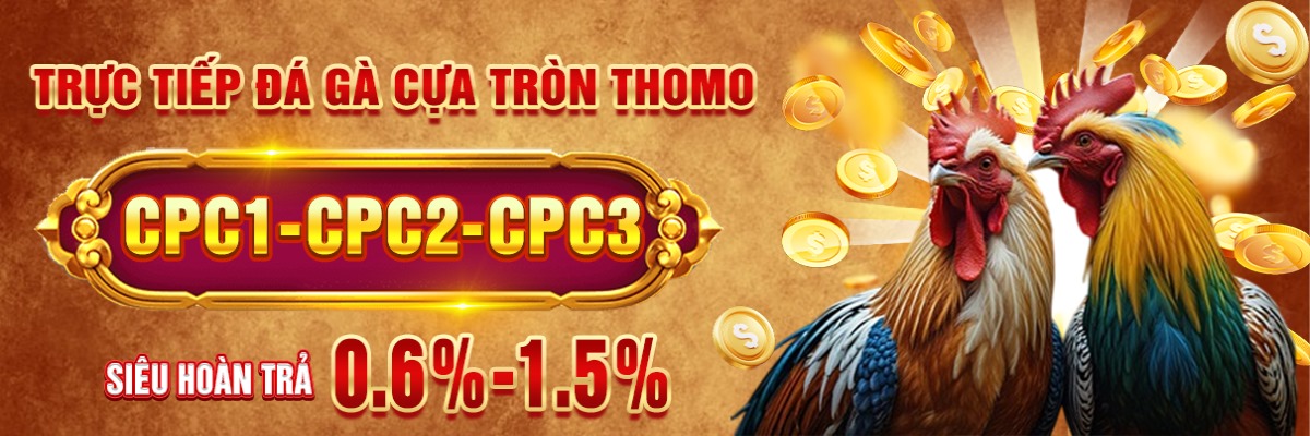 Đá Gà Trực Tiếp Cover Image