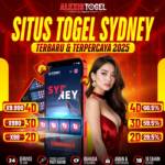 Togel SDY Lotto Profile Picture