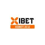 XIBET Profile Picture
