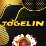 TO GELIN Profile Picture