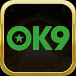 Ok9m org Profile Picture