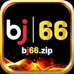 BJ66 Zip Profile Picture
