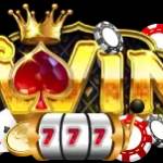 Iwin Pro Net Profile Picture