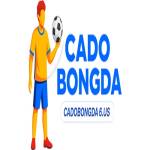 Cá độ bóng đá Profile Picture