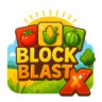 blockblast Profile Picture