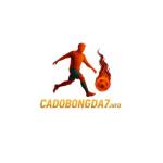 Cá độ bóng đá Profile Picture