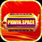 pkwinspace Profile Picture