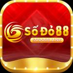 sodo88 link Profile Picture
