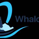 whalom dental Profile Picture