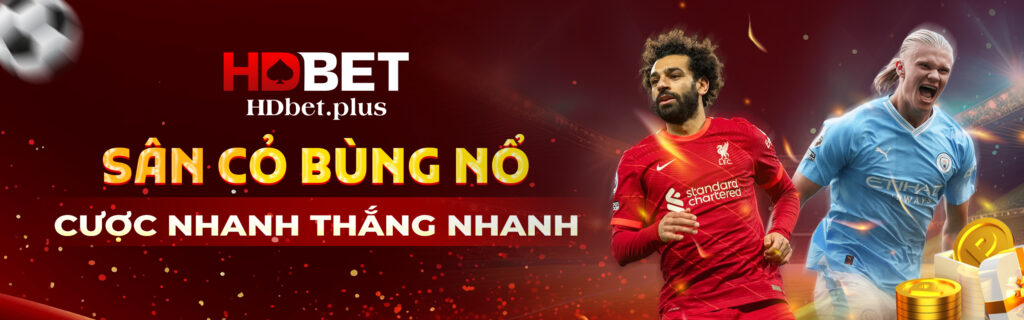 Nguyễn Hoàng An Cover Image