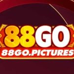 88go pictures Profile Picture