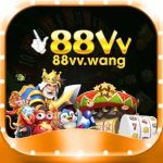 88vv wang Profile Picture