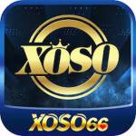 Xoso66 Racing Profile Picture