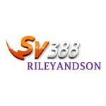 SV388 Profile Picture