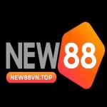 New88 Profile Picture