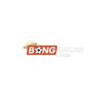 bongdalu Profile Picture