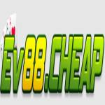 Ev Profile Picture