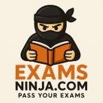 Exams Ninja Profile Picture