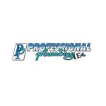 Professional Plumbing IE Inc Profile Picture