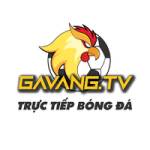 gavangtv link Profile Picture
