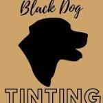 Black Dog Tinting and Paint Protection Film Profile Picture