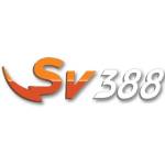 V388 Profile Picture