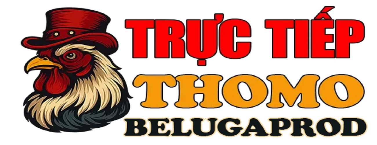 ĐÁ GÀ TRỰC TIẾP THOMO HÔM NAY Cover Image