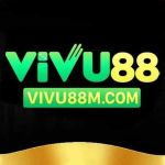 Vivu88 Profile Picture