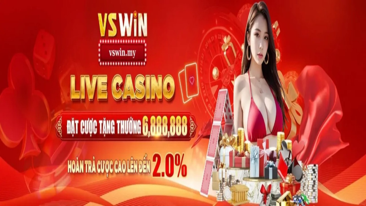 Vswin my Cover Image