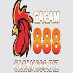 gacam888 biz Profile Picture