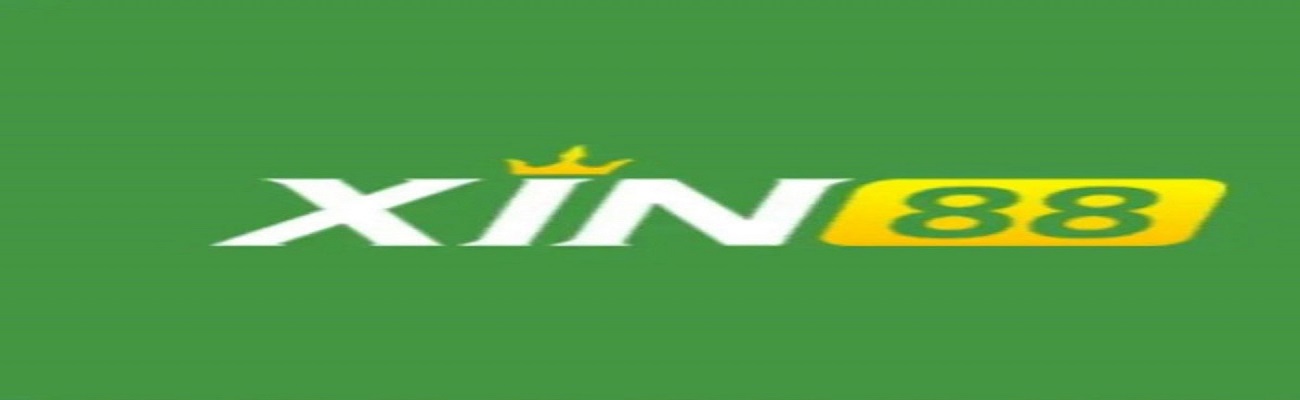 XIN88co com Cover Image