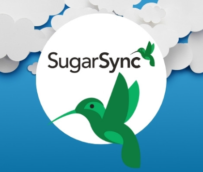 SugarSync 2025 Download