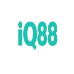 IQ88 Profile Picture