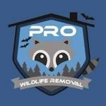Pro Wildlife Removal Profile Picture